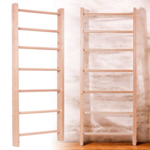 Žebřiny inSPORTline Steadyline 250×80 cm