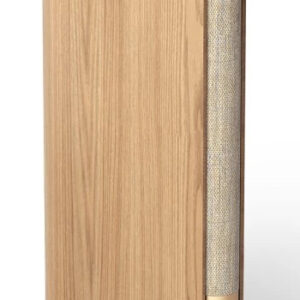 Bang & Olufsen Beosound Emerge Barva: Gold Tone