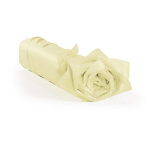 480x Hedvábný papír v balení, 50x75cm, krémový | RAJA