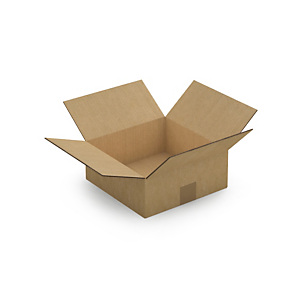 15x Kartonová krabice 250x250x100mm, hnědá, klopová,pětivrstvá vlnitá lepenka (5VVL) | RAJA