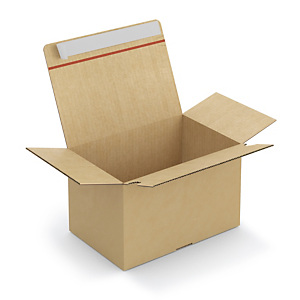20x Kartonová krabice 290x190x180mm, automatické dno, samolepicí proužek, hnědá, klopová, třívrstvá vlnitá lepenka (3VVL) | RAJA