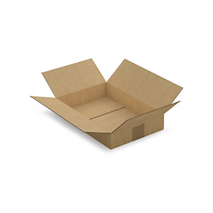 25x Kartonová krabice 310x215x55mm, hnědá, klopová,třívrstvá vlnitá lepenka (3VVL) | RAJA