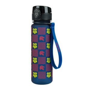 Tritanová láhev na pití Harry Potter Nebelvír 500 ml