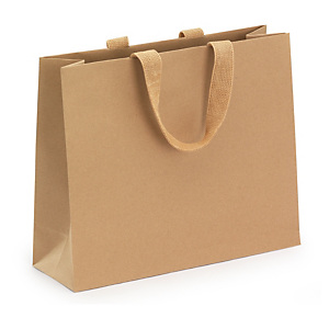 25x Papírová taška s papírovými úchyty 300x250x100 mm
