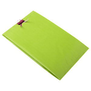 250x Papírové sáčky, zelené 240 x 390 x 75 mm