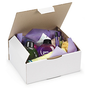 50x Poštovní krabice 150x100x70mm, bílá | RAJAPOST®