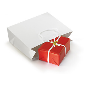 25x Dárková taška z lesklého papíru bílá 300x250x100 mm