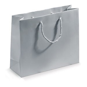 25x Dárková taška z matného papíru, 300 x 250 x 100 mm stříbrná | RAJA