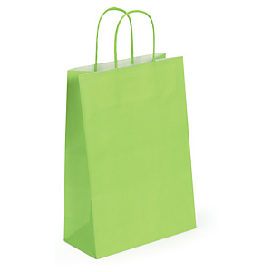 50x Dárkové tašky z kraftového papíru 250x320x110mm, pistáciové | RAJA