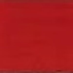 Temperové barvy školní 1000ml – červená