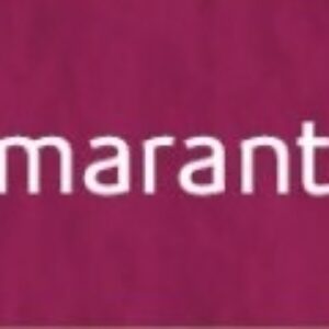 Tiziano umělecký papír A4 160g – amaranto