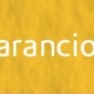 Tiziano umělecký papír A4 160g – arancio