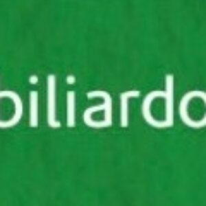 Tiziano umělecký papír A4 160g – biliardo