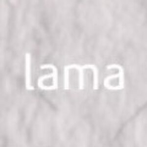 Tiziano umělecký papír A4 160g – lama