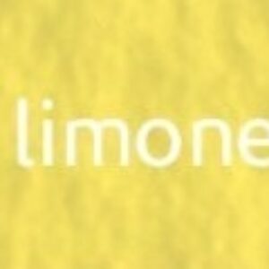 Tiziano umělecký papír A4 160g – limone