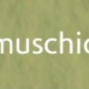 Tiziano umělecký papír A4 160g – muschio