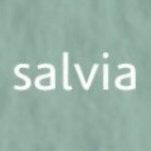 Tiziano umělecký papír A4 160g – salvia