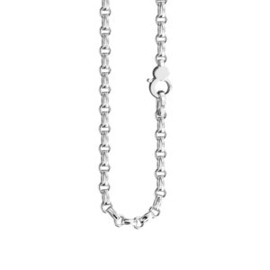 Zlatý Pánský Řetízek Zancan